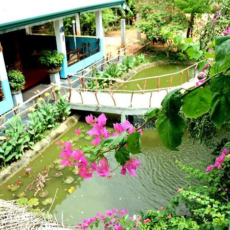 Hungry Lion Resort Sigirîya Extérieur photo