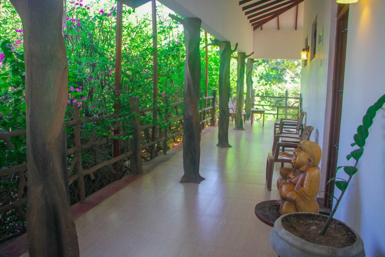Hungry Lion Resort Sigirîya Extérieur photo